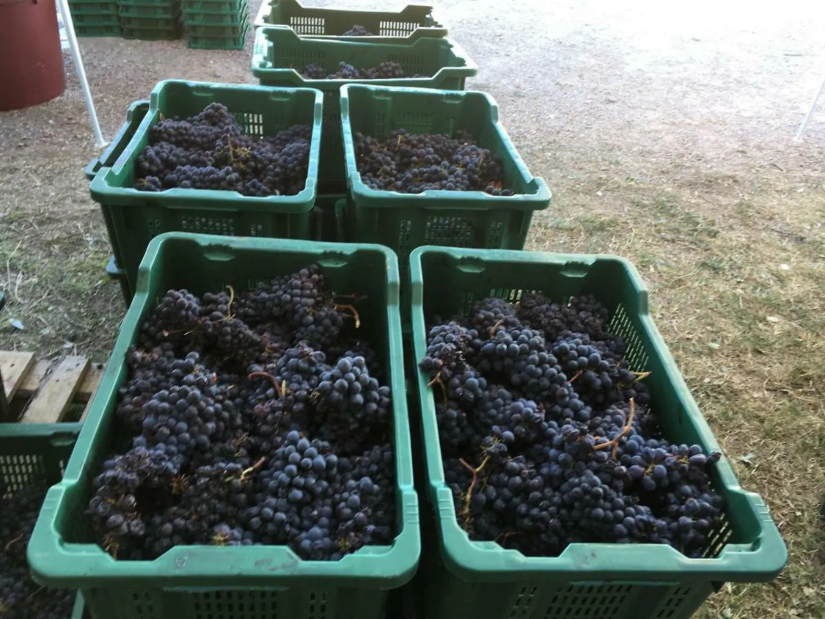 La Banditaccia Monticello Amiata 0*,