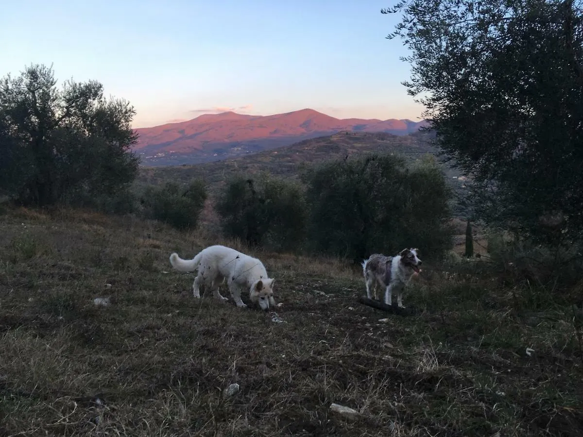 La Banditaccia Monticello Amiata