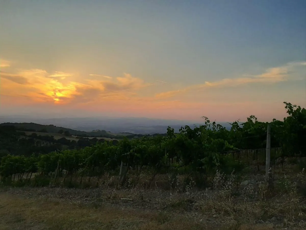 La Banditaccia Monticello Amiata Italy