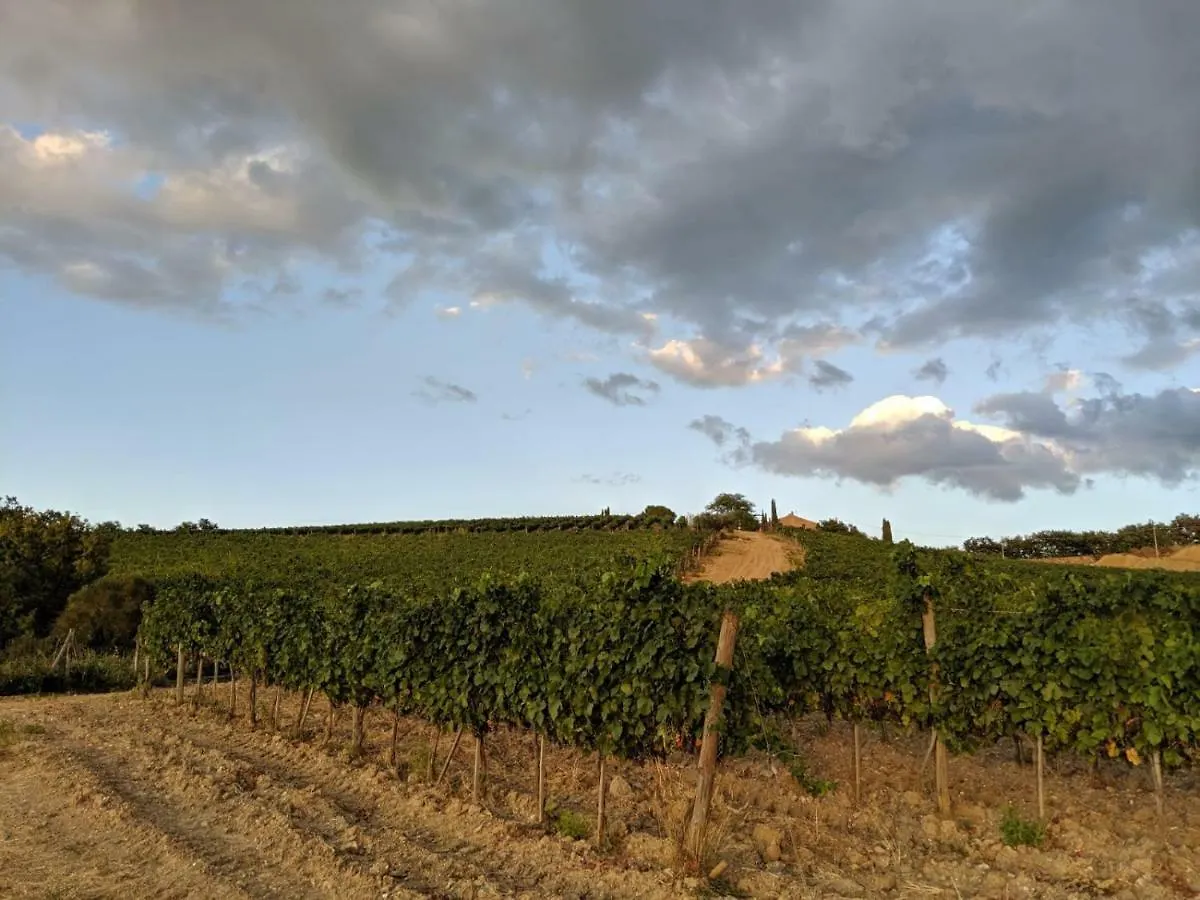 La Banditaccia Monticello Amiata 0*,