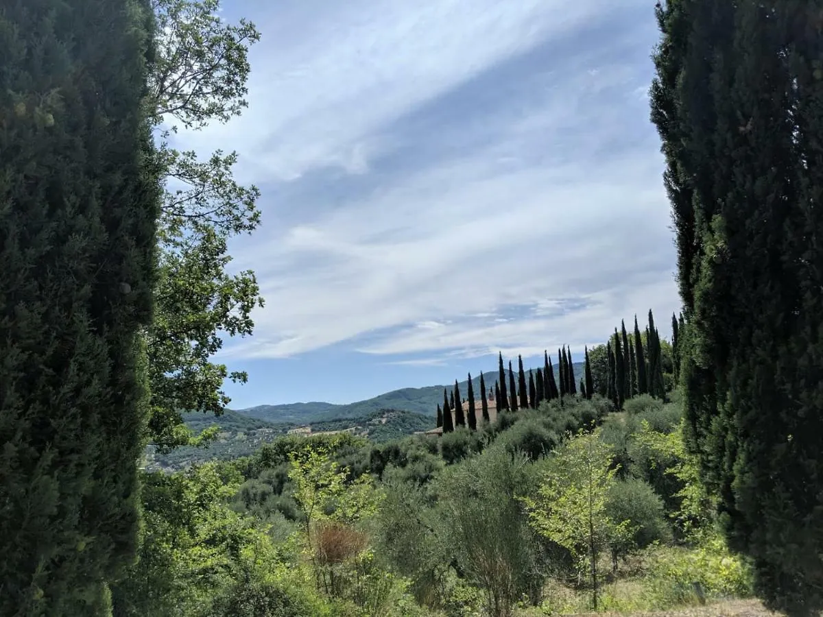 La Banditaccia Monticello Amiata